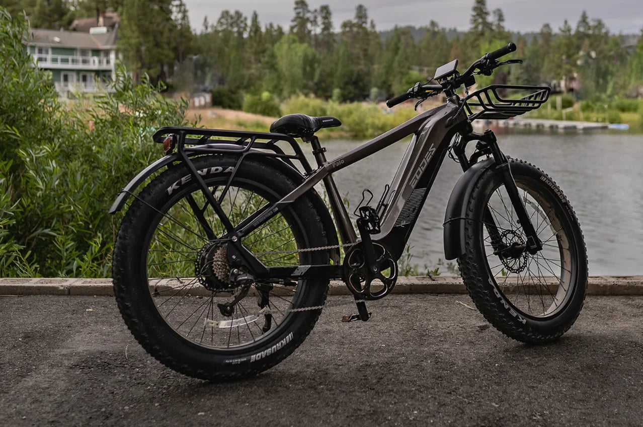 eBike Boys 52V 750W Adult eBike - 17AH Battery, Top Speed 32km/h - Crown&Co